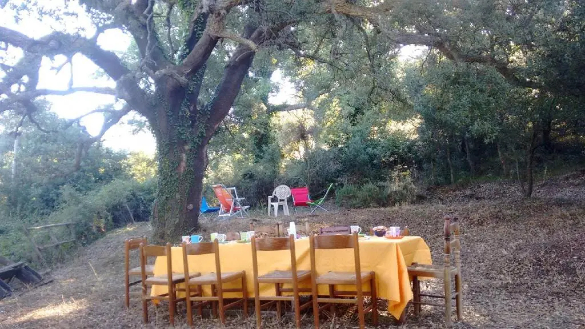 Agriturismo Bosco Pianetti
