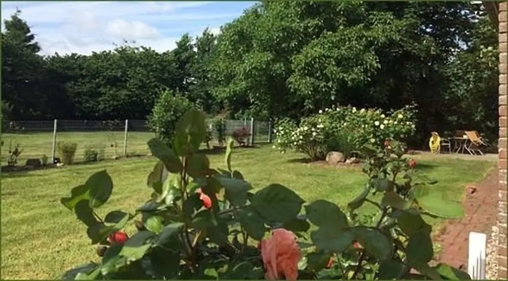 Friesenglück Kolkerheide