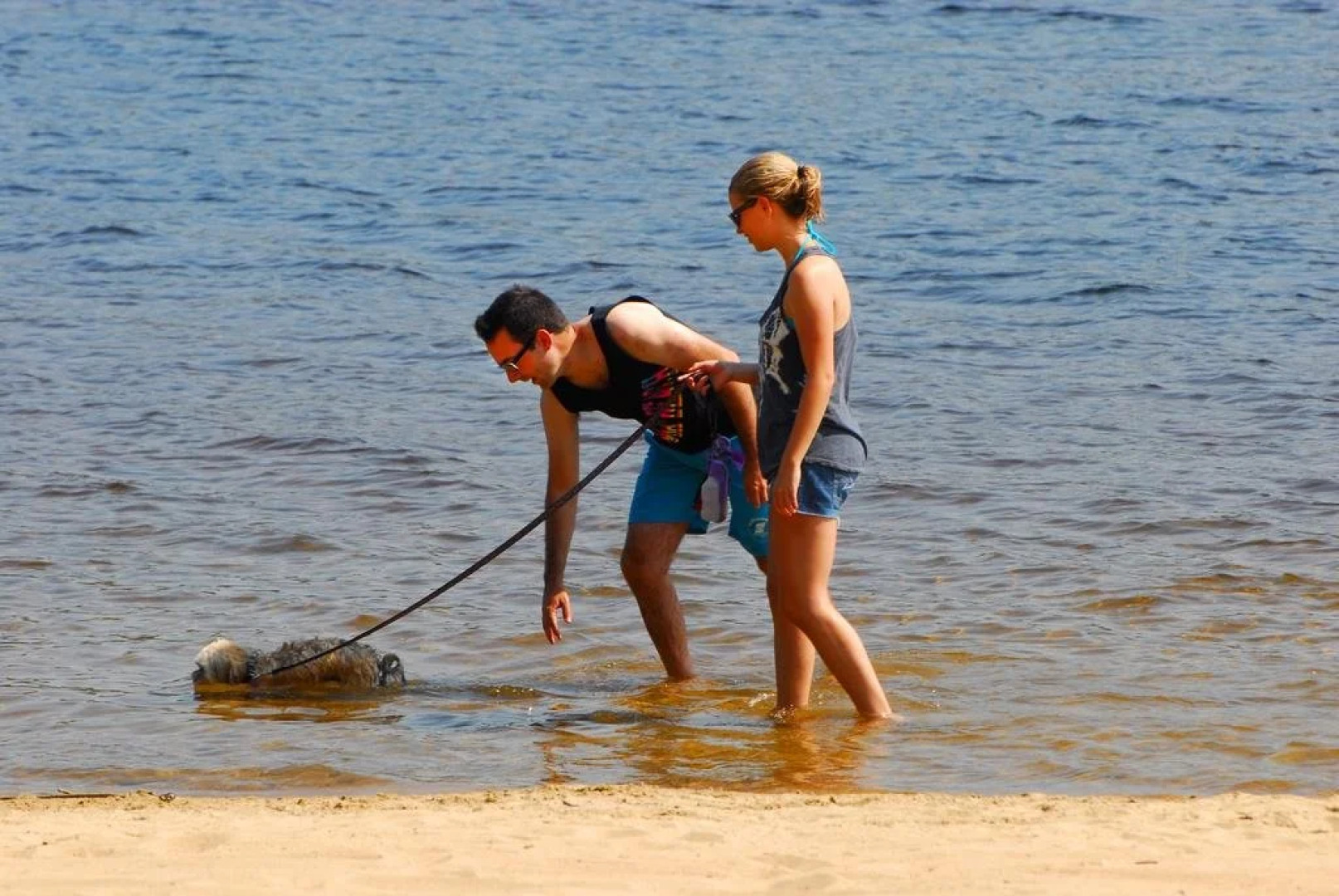 The Pines Cottage Resort