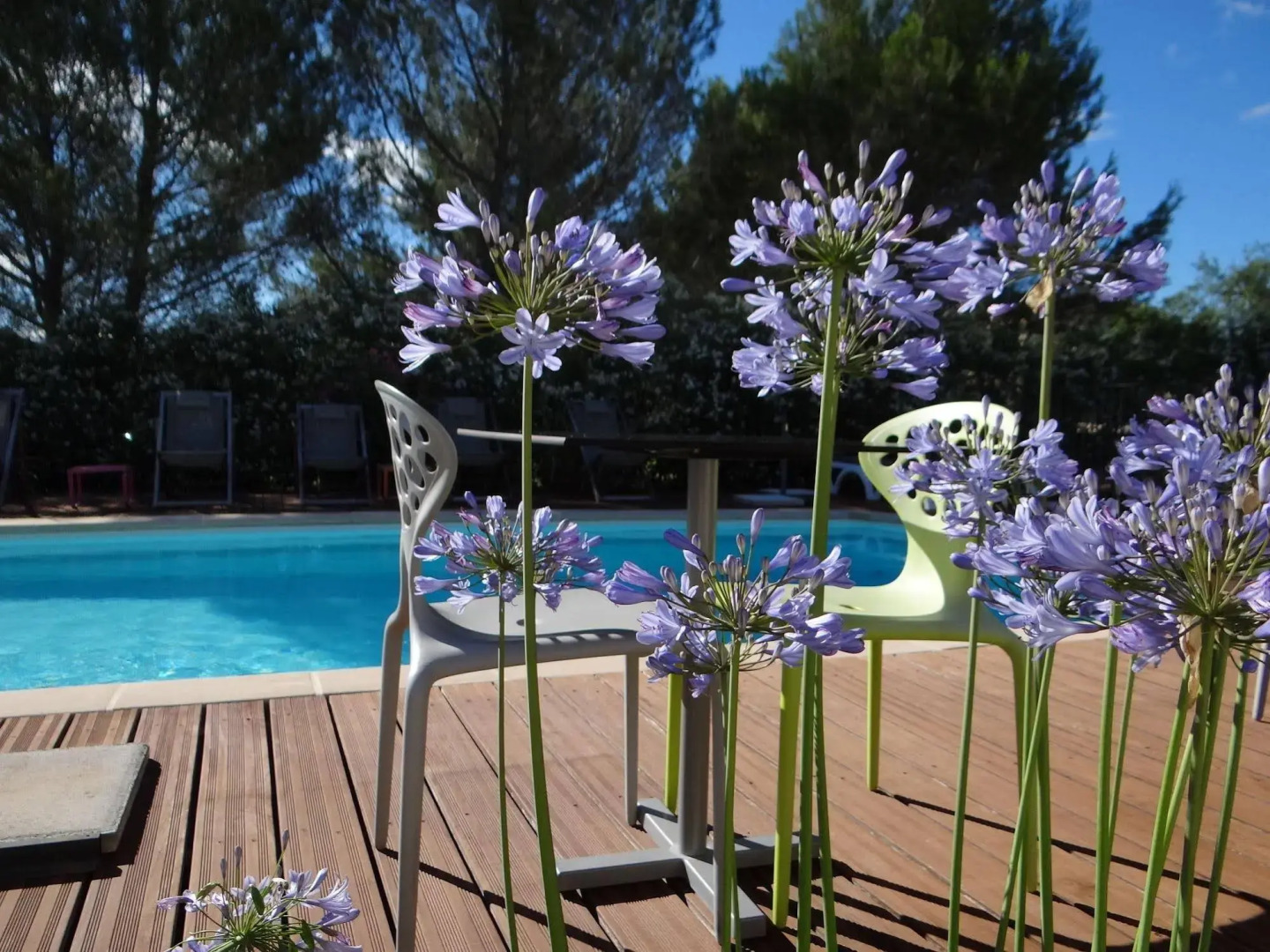 Hôtel Le Patio de Violette