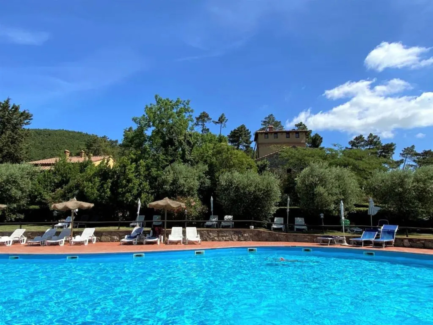 Locazione Turistica Farfalla