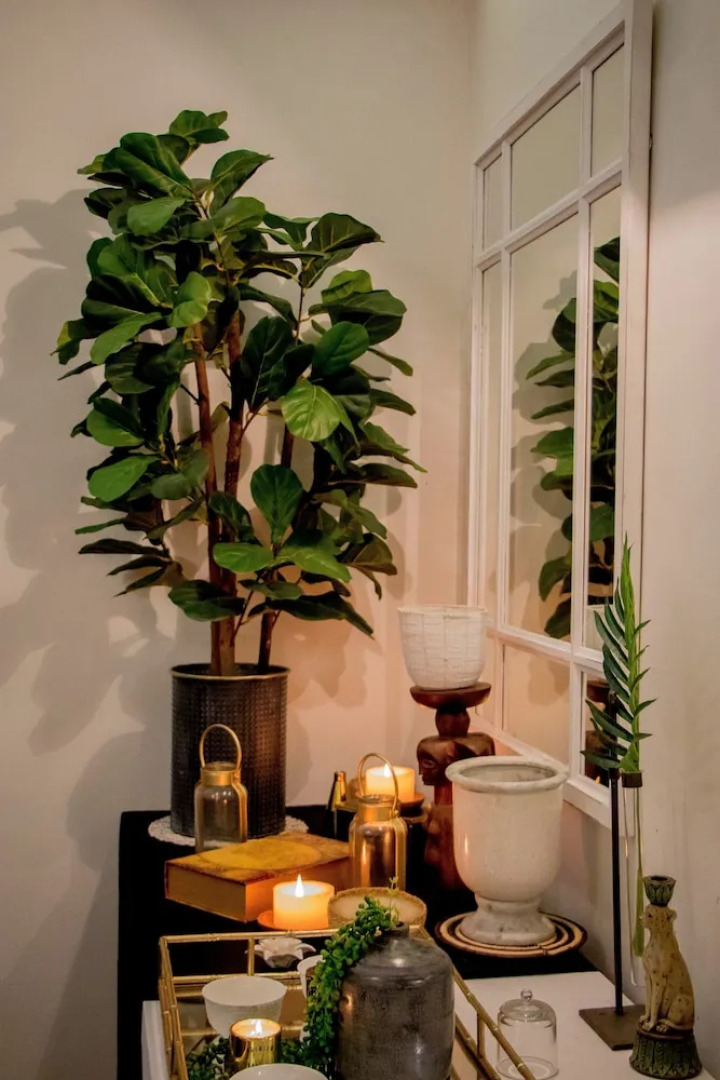 African Safari Lodge