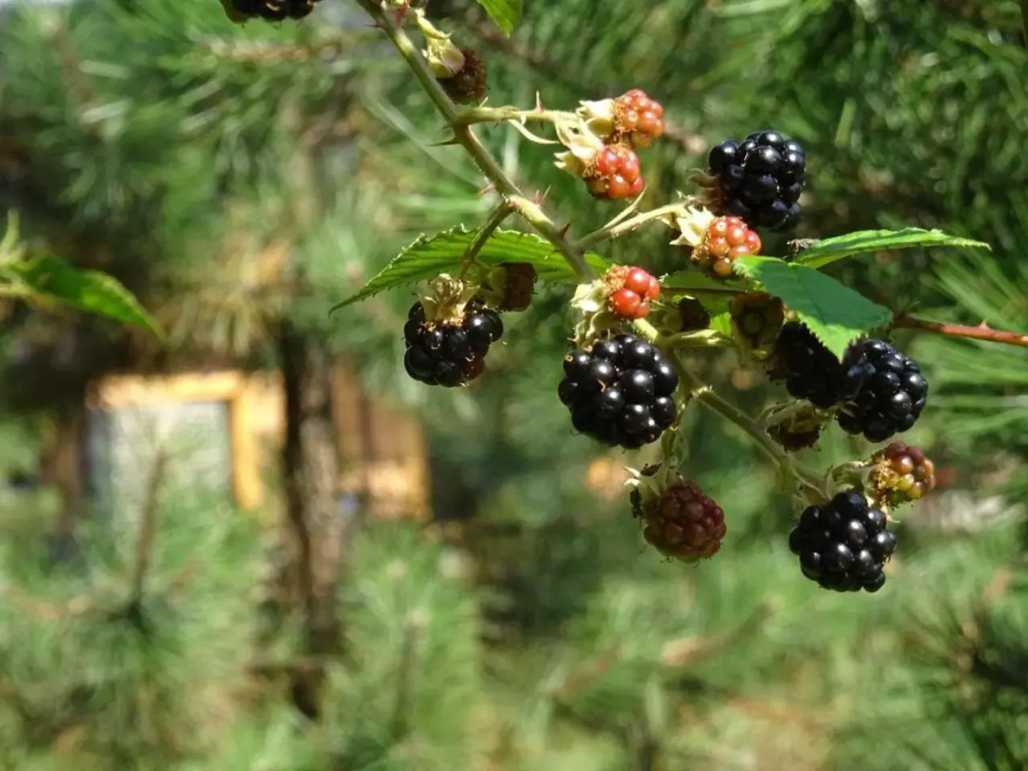 Potoczówka Apartamenty