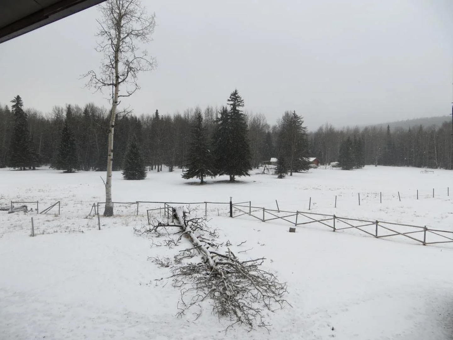 Black Cat Guest Ranch