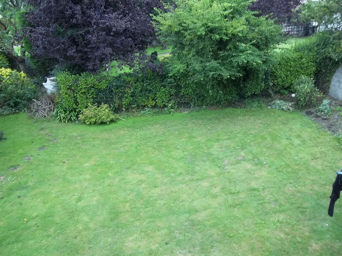 Donnybrook Lodge B&B