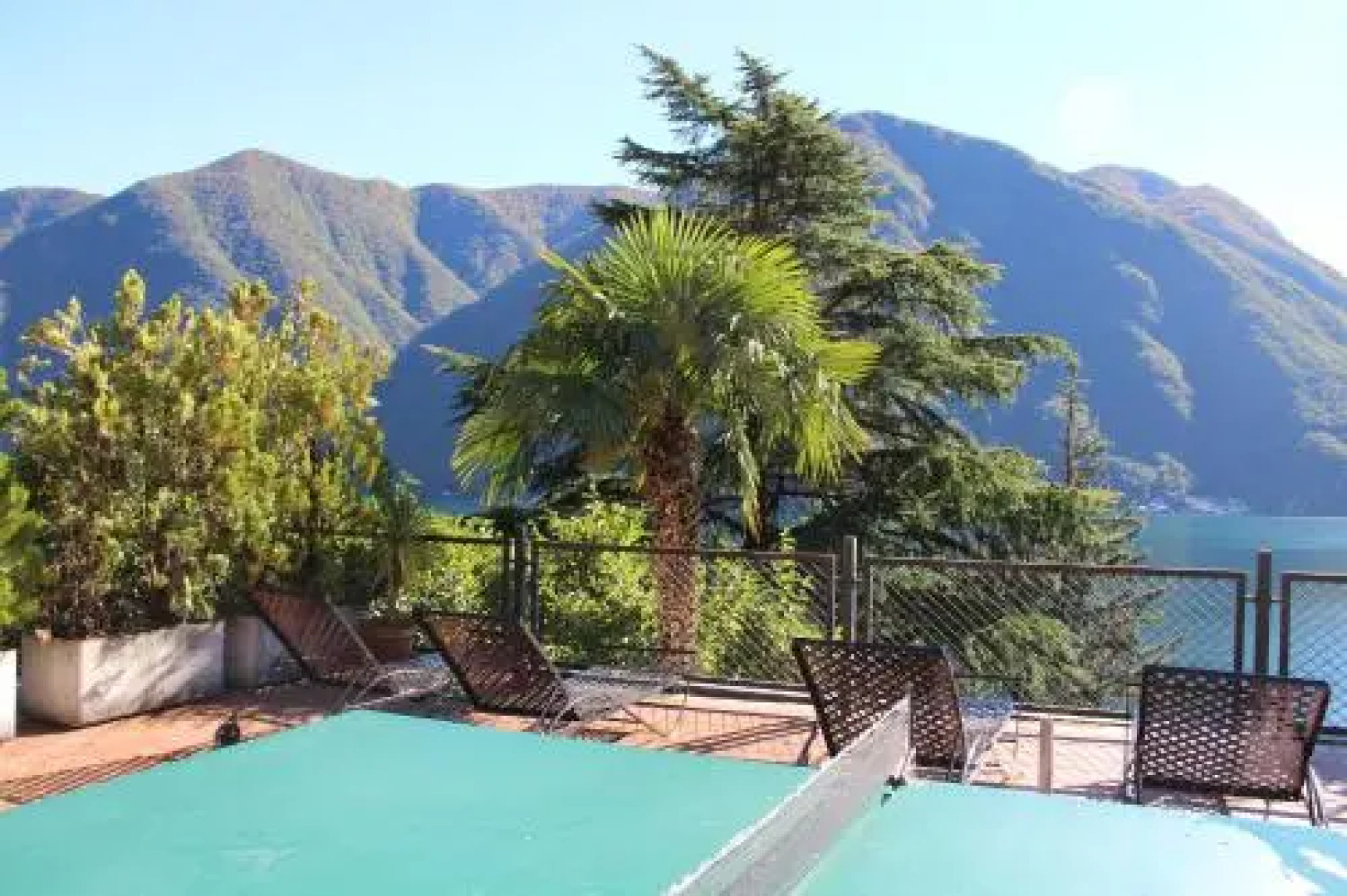 Garden Olive dog friendly