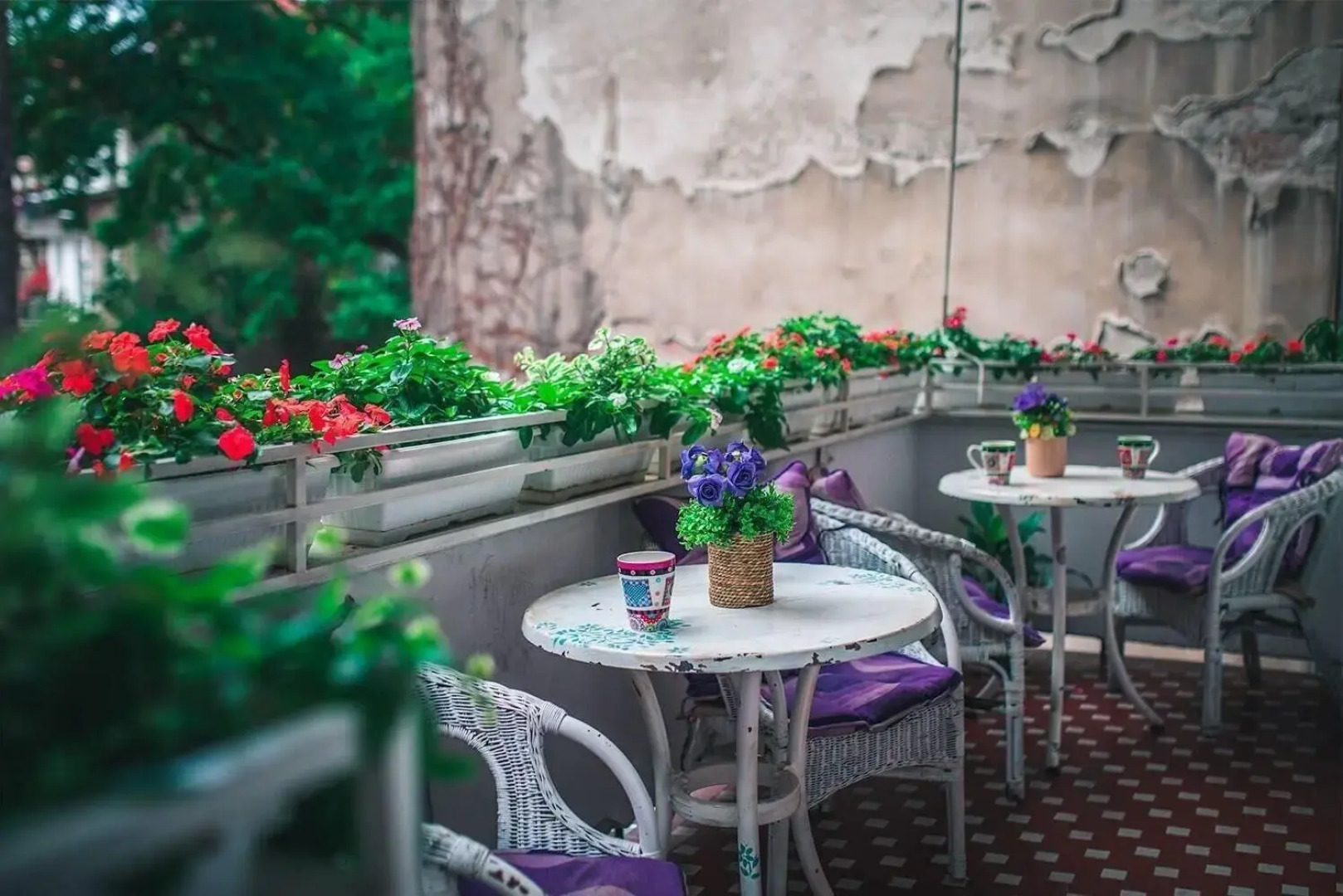 Hostel Beogradjanka