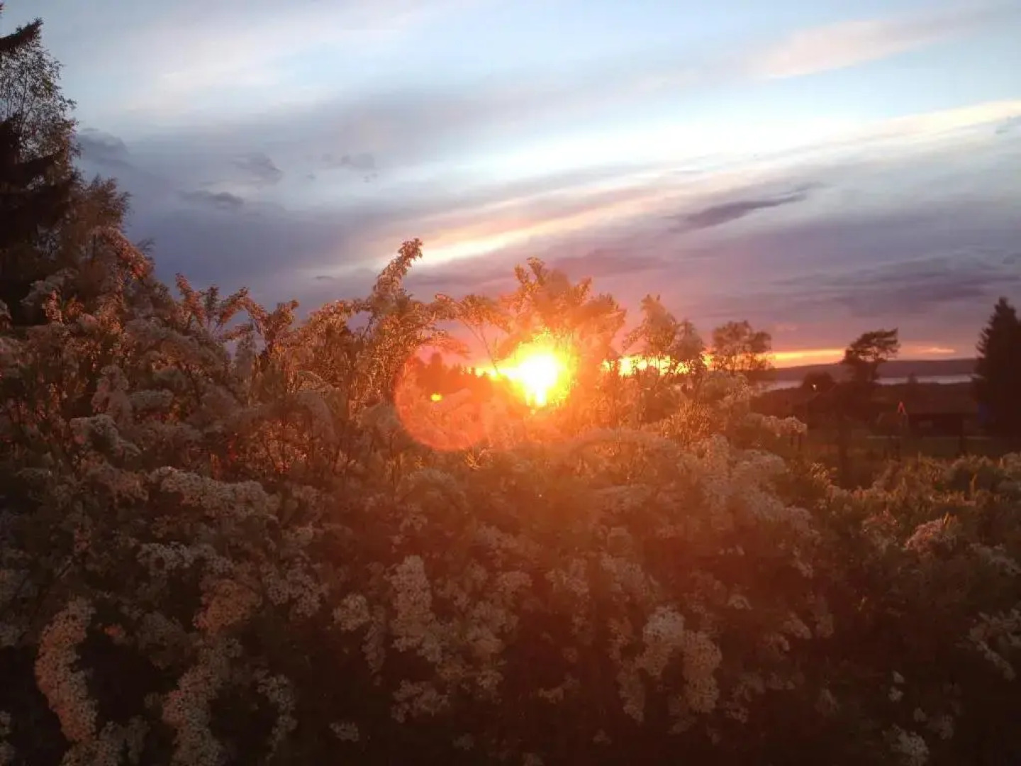 Kullsbjörkens Bed & Breakfast