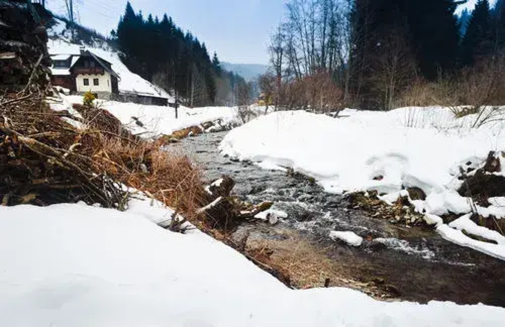 Zinkhaus - Waldheimat Alpl
