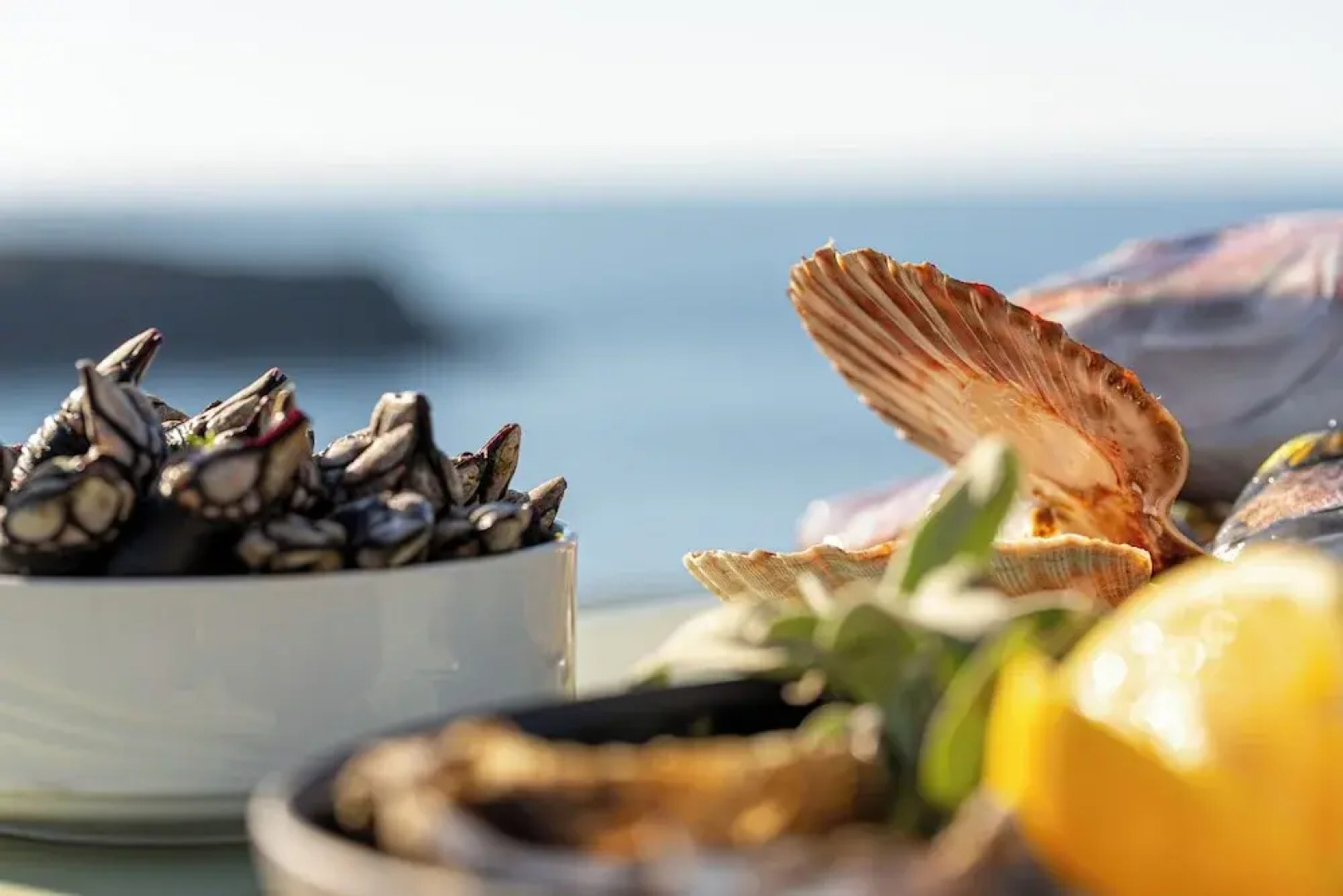 Hôtel Le Grand Large