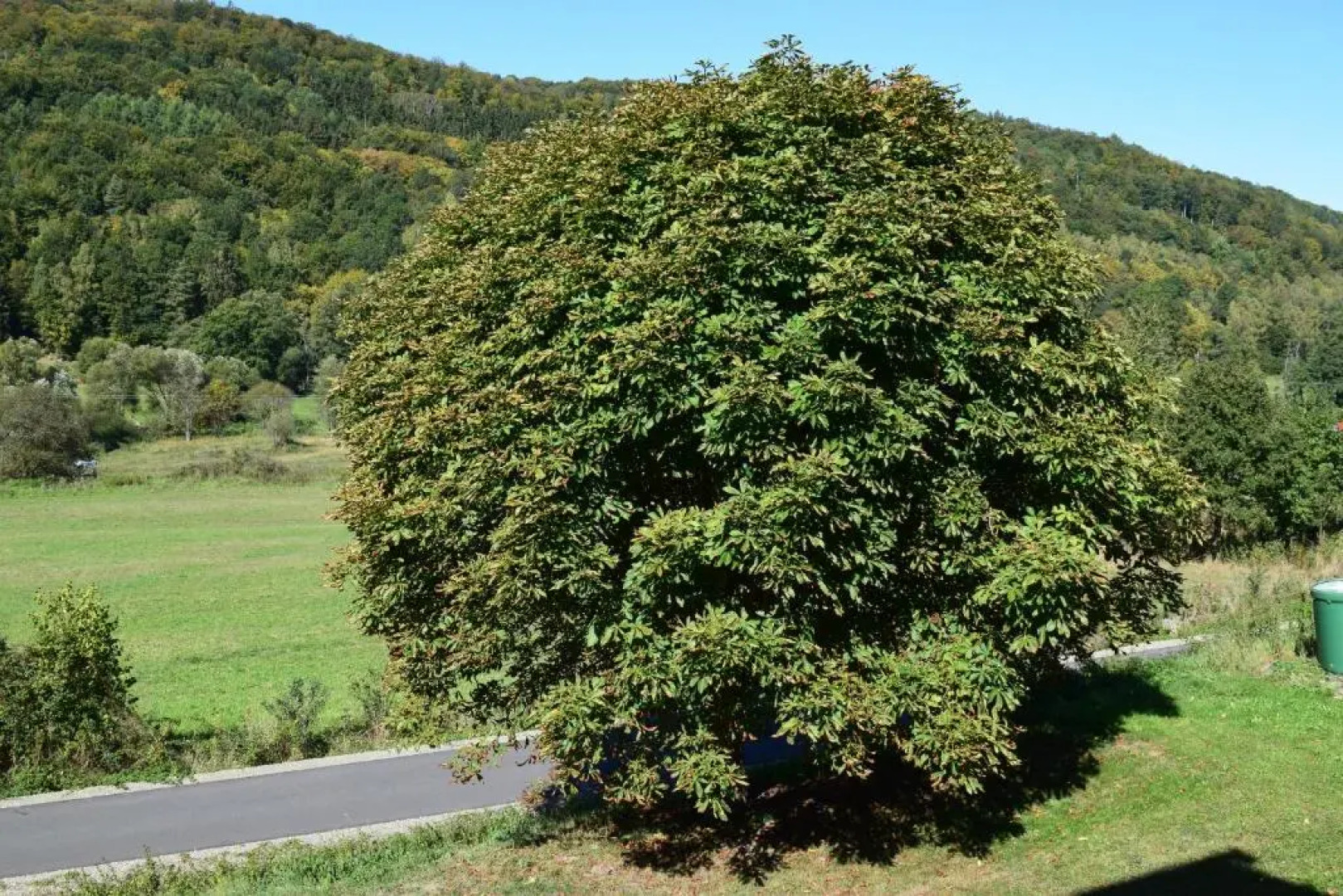 Landhotel Weisses Ross