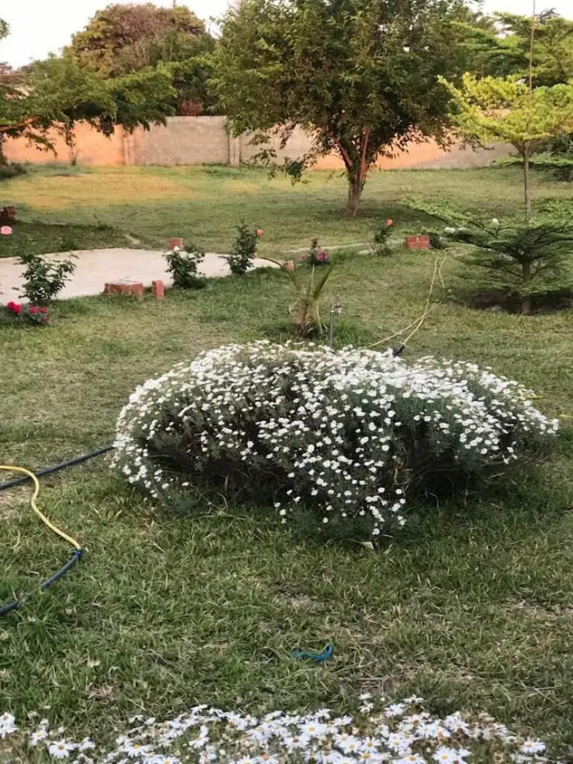 Kavango Dachils Lodges Ext2