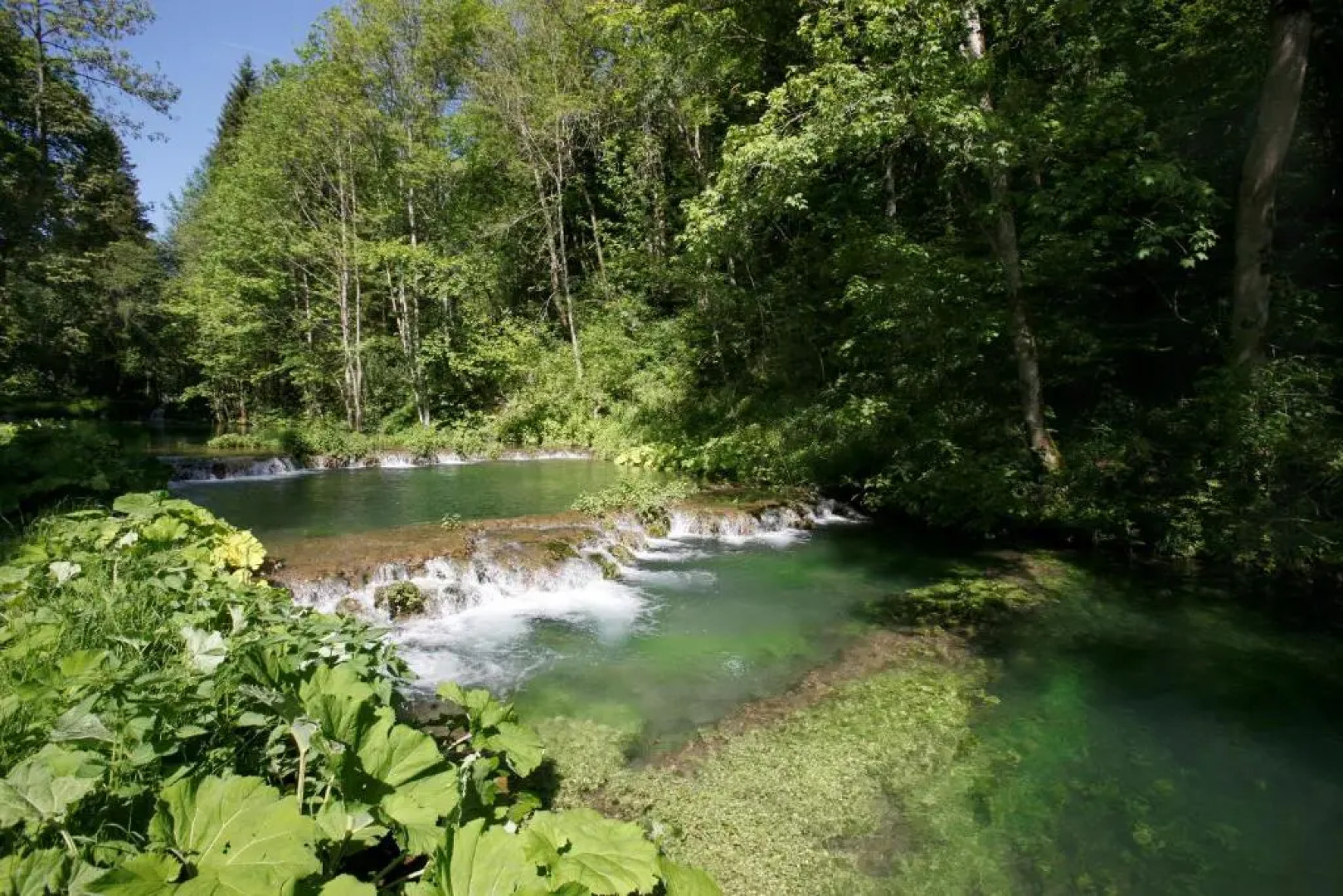 Ferienwohnungen Holder