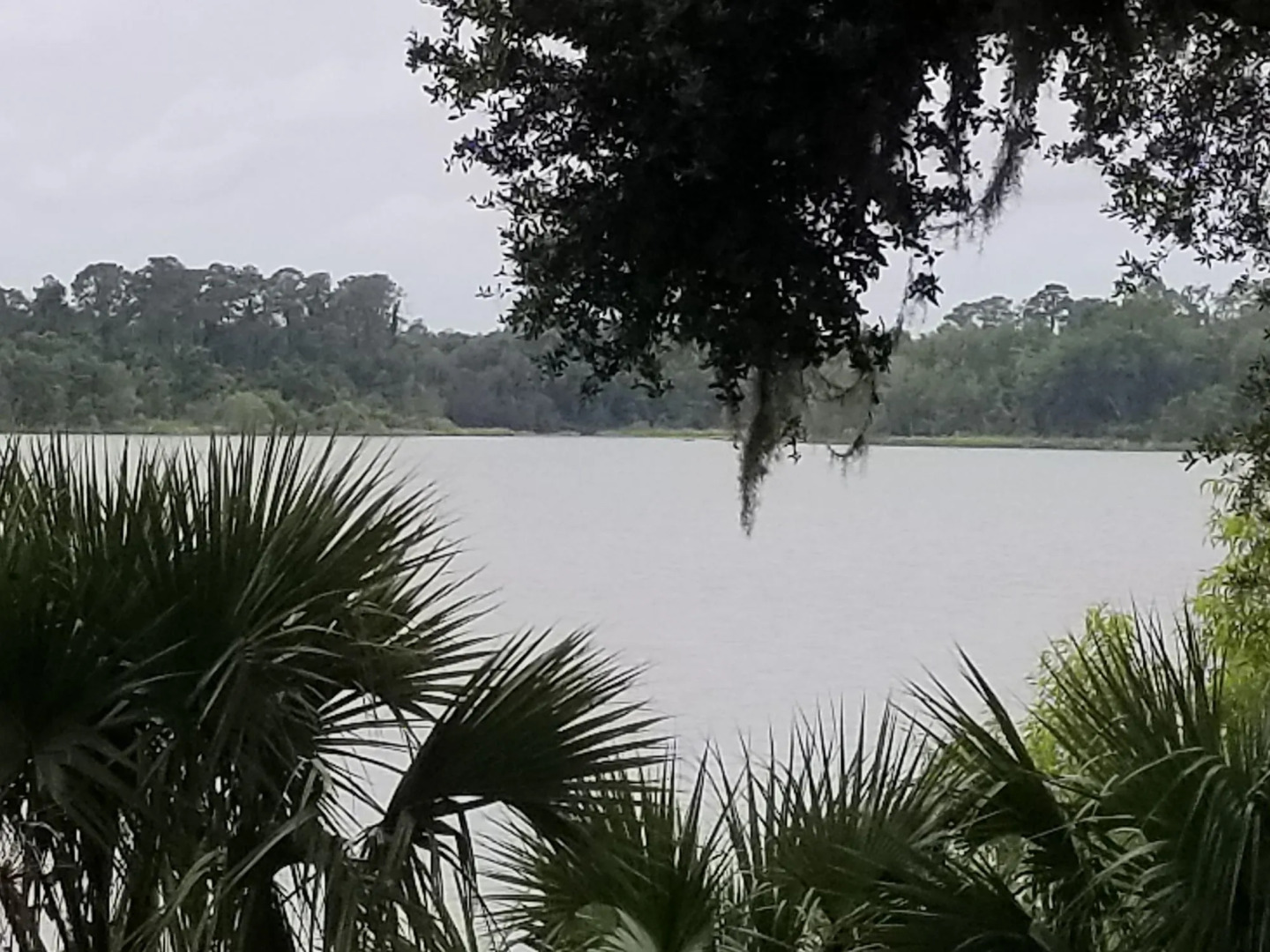 Stayable Select Gainesville