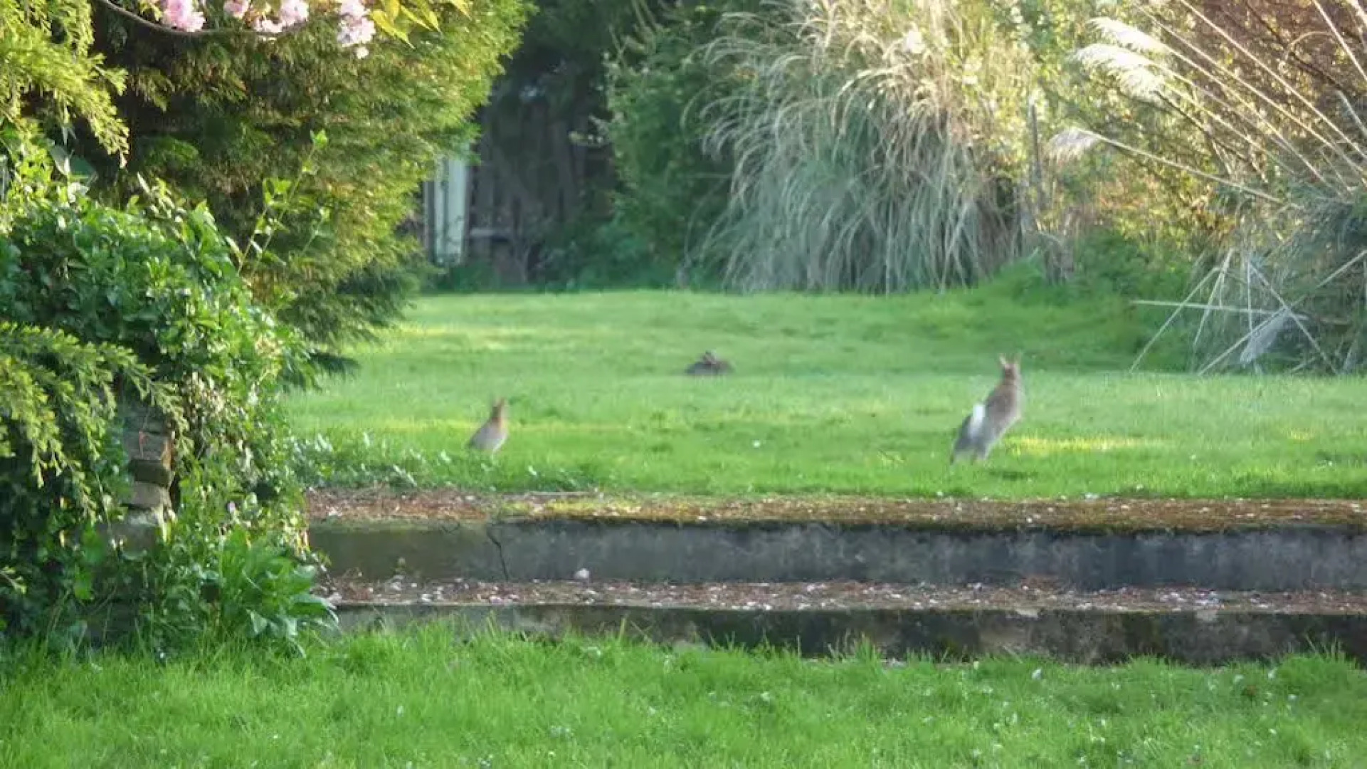 White Horse Guesthouse