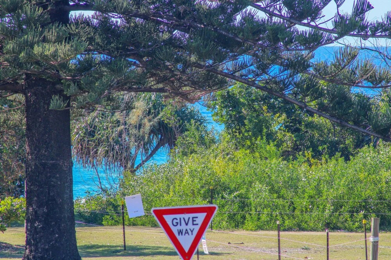 10/39 Kingscliff Street