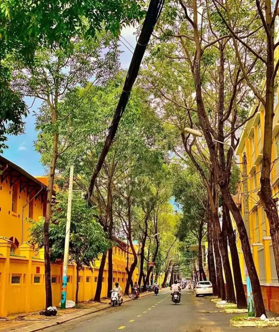 Adora Central Park Hostel