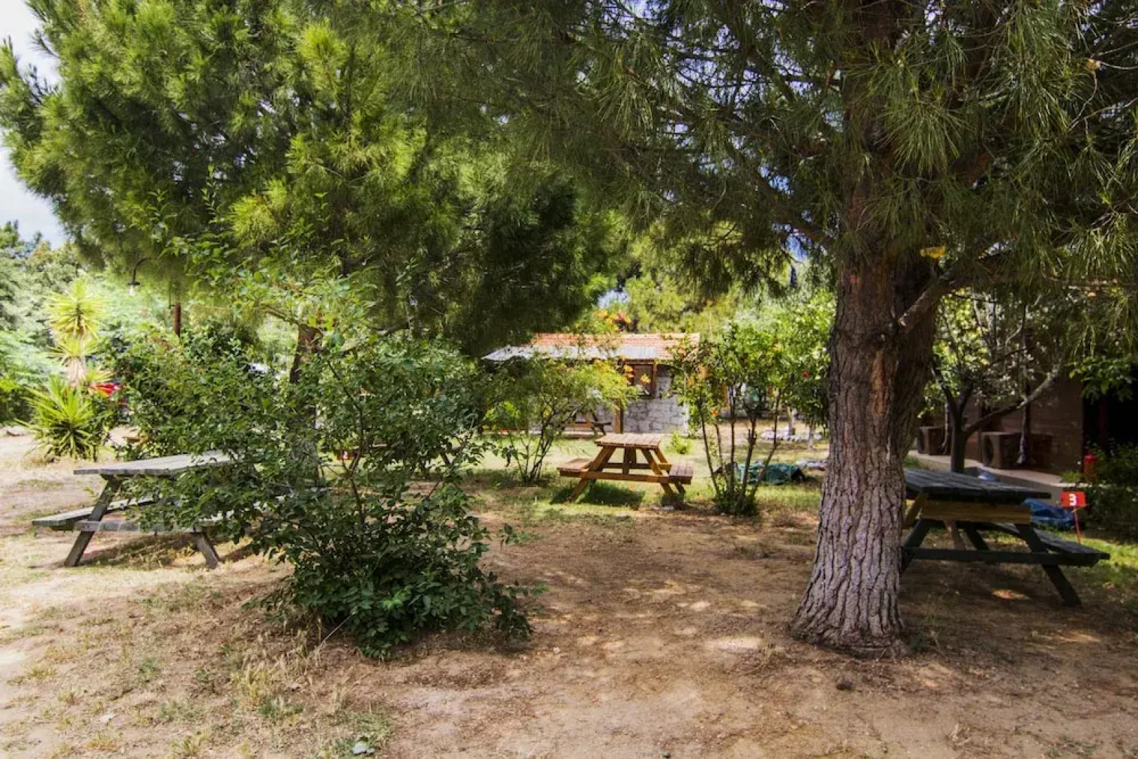 Agora Tatil Duragi