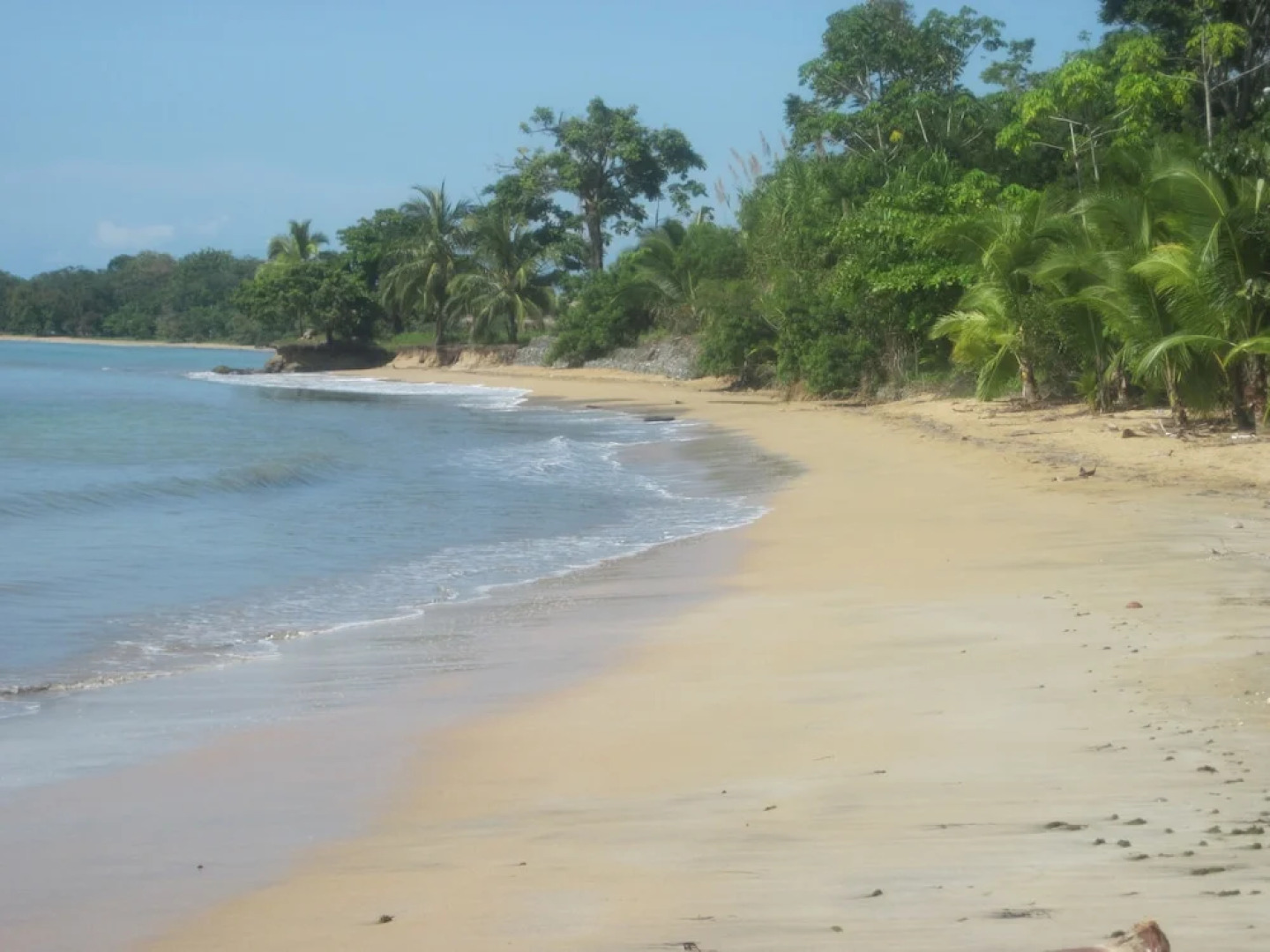 Sand Dollar Beach Bed & Breakfast