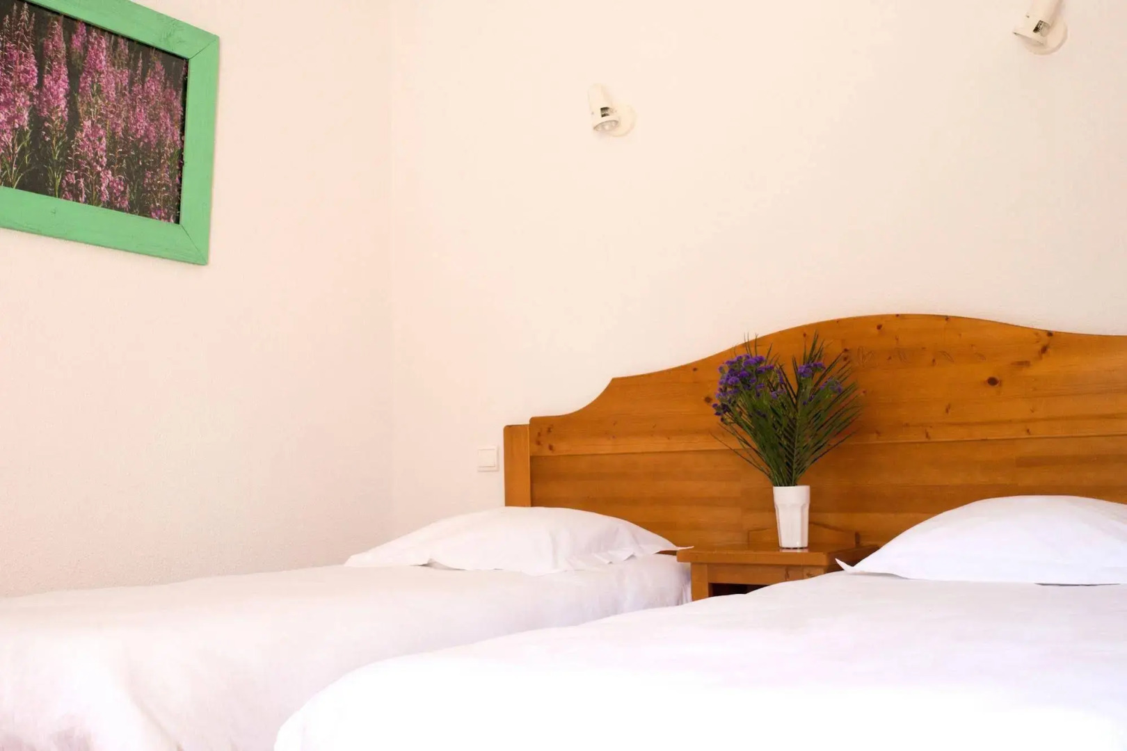 Domaine de la Plagnette ***