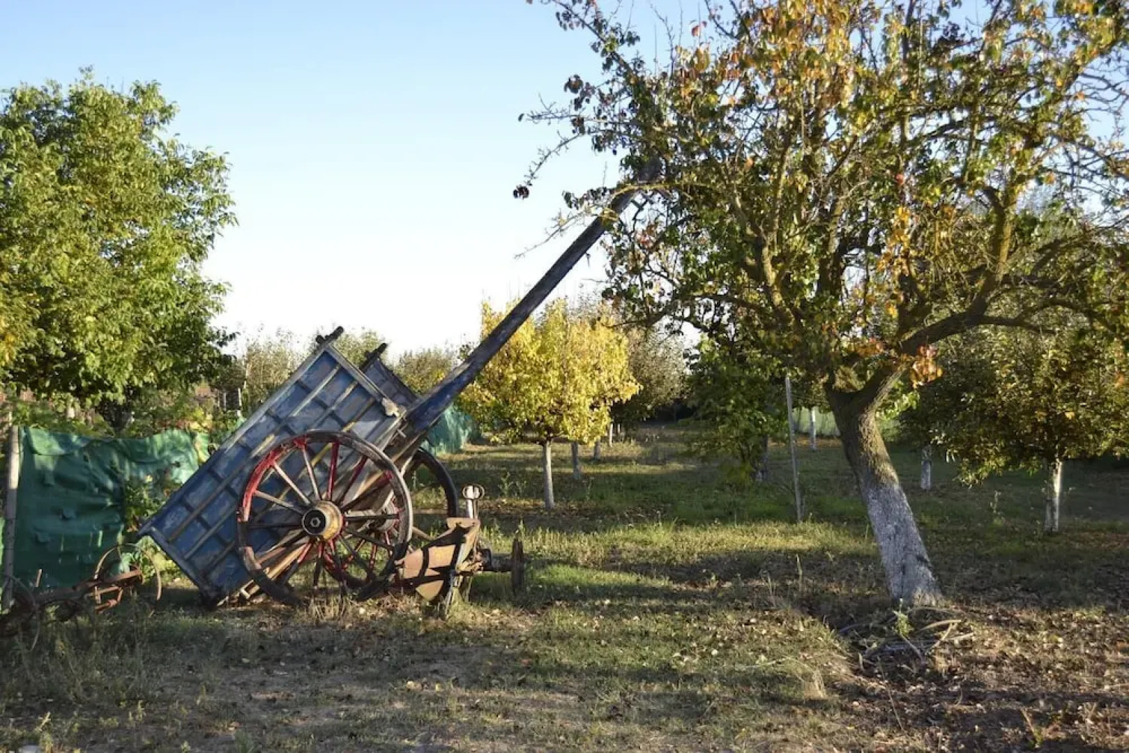 Casa Rural La Calceta