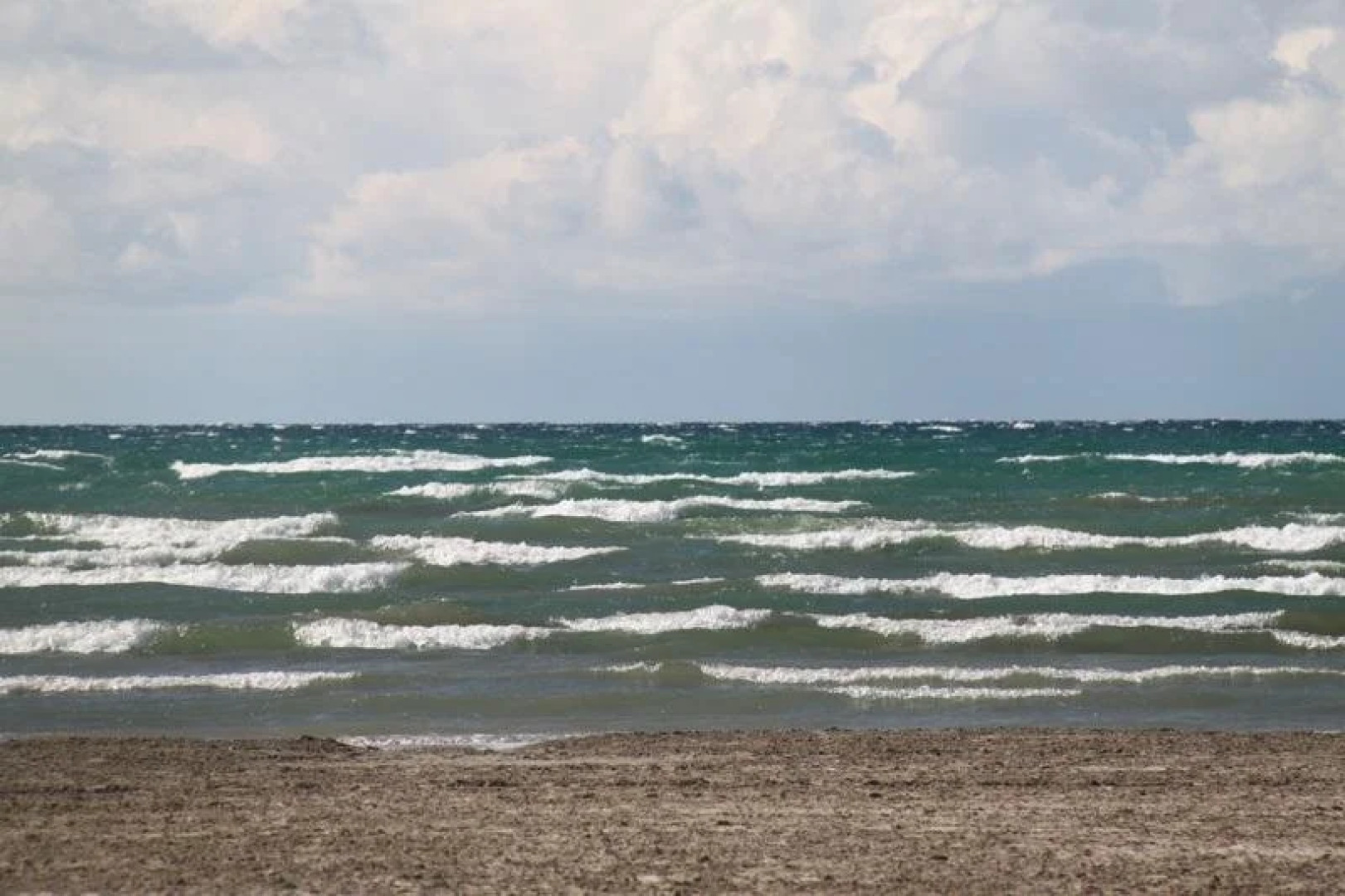 Plovers Cove Cottage