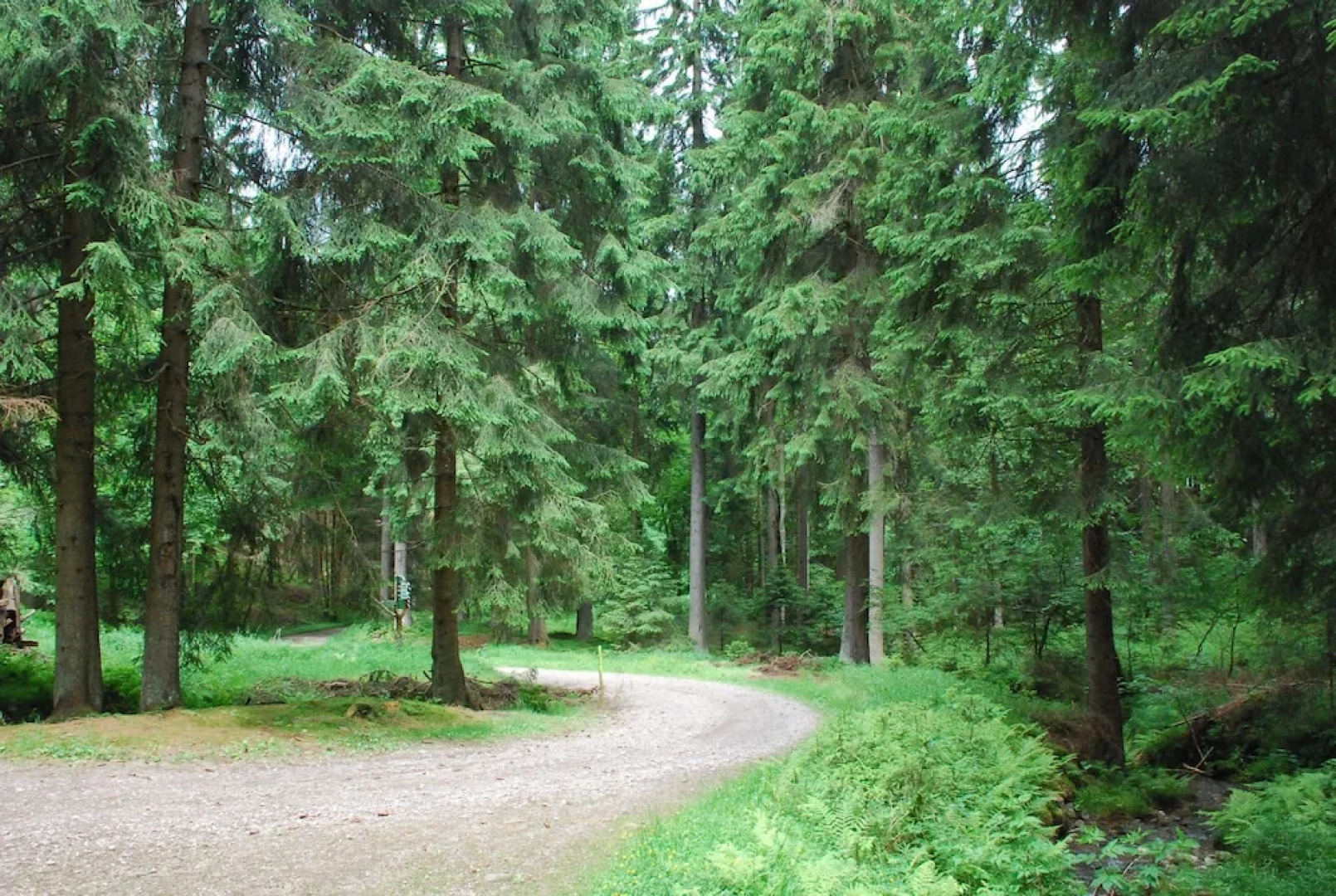 Hotel Schwarzaquelle