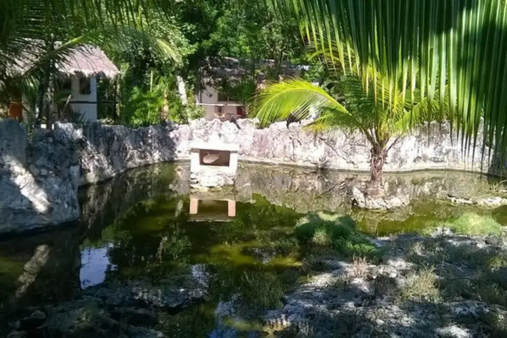 Casa de Las Tortugas I Tour Akumal