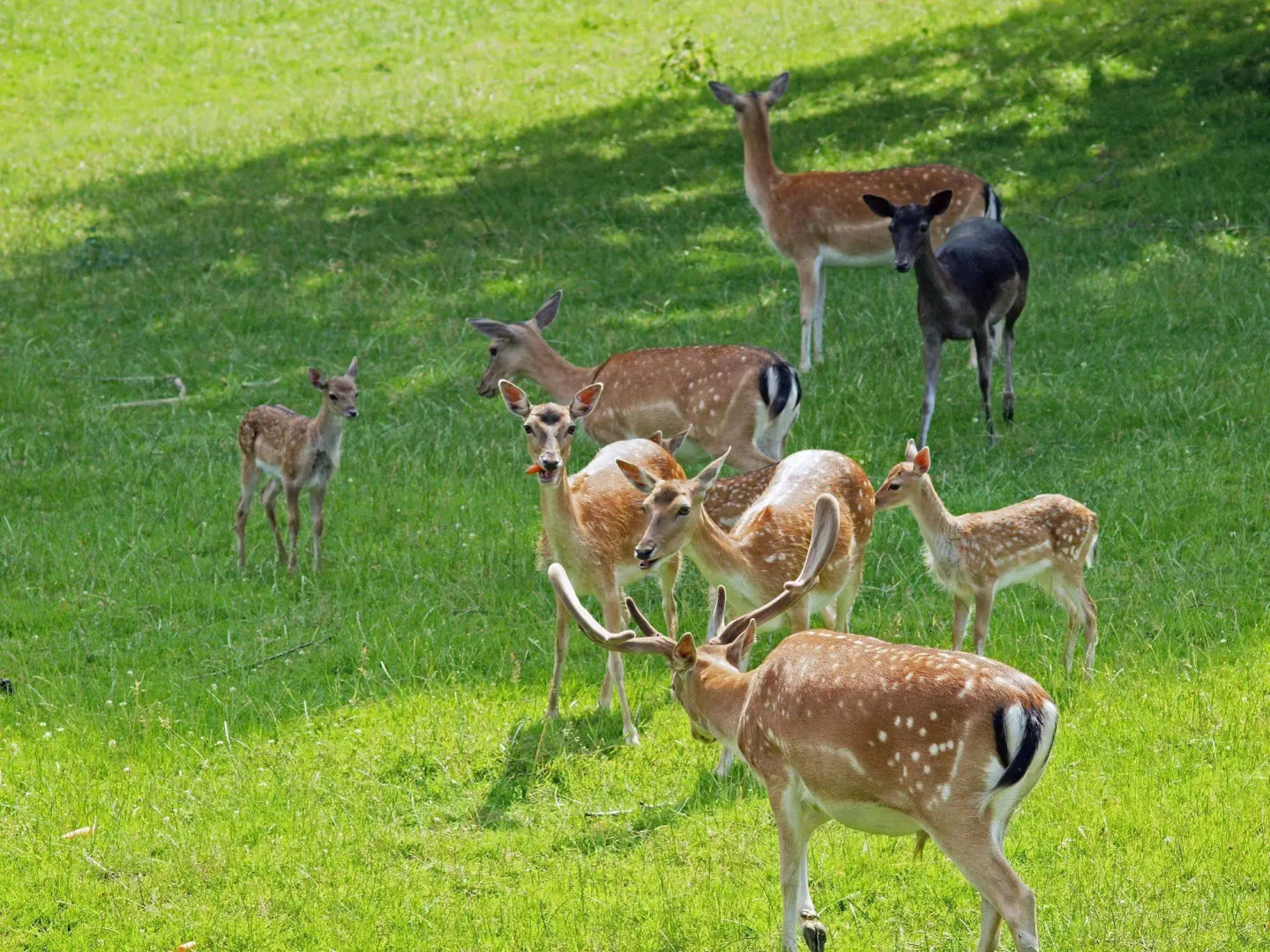 Waldhotel Felsenkeller