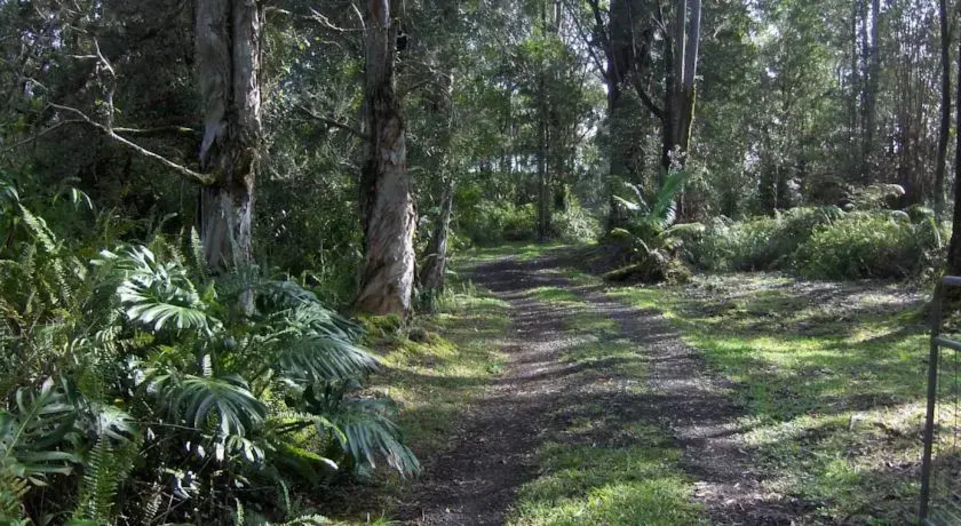 Secluded Rainforest Retreat