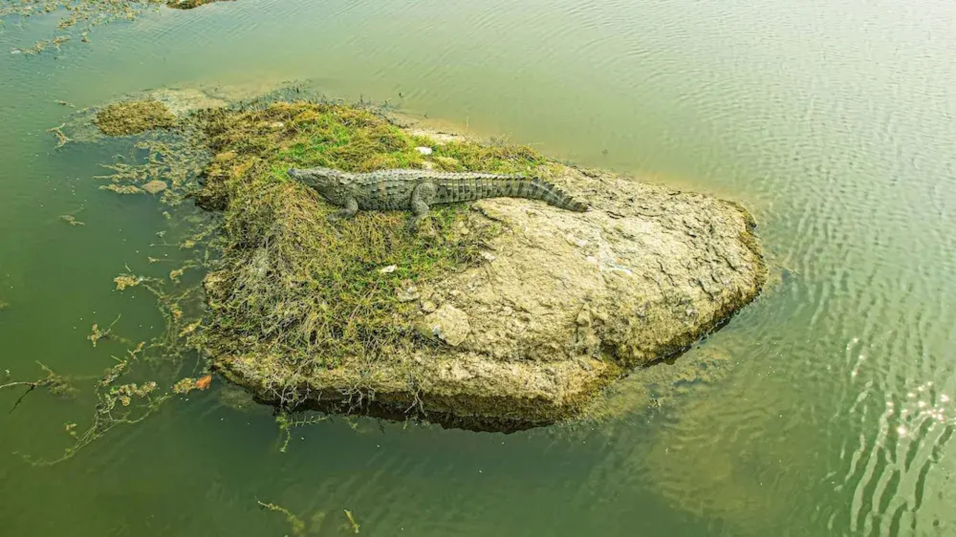 Jawai Zinc Journey by The Fern