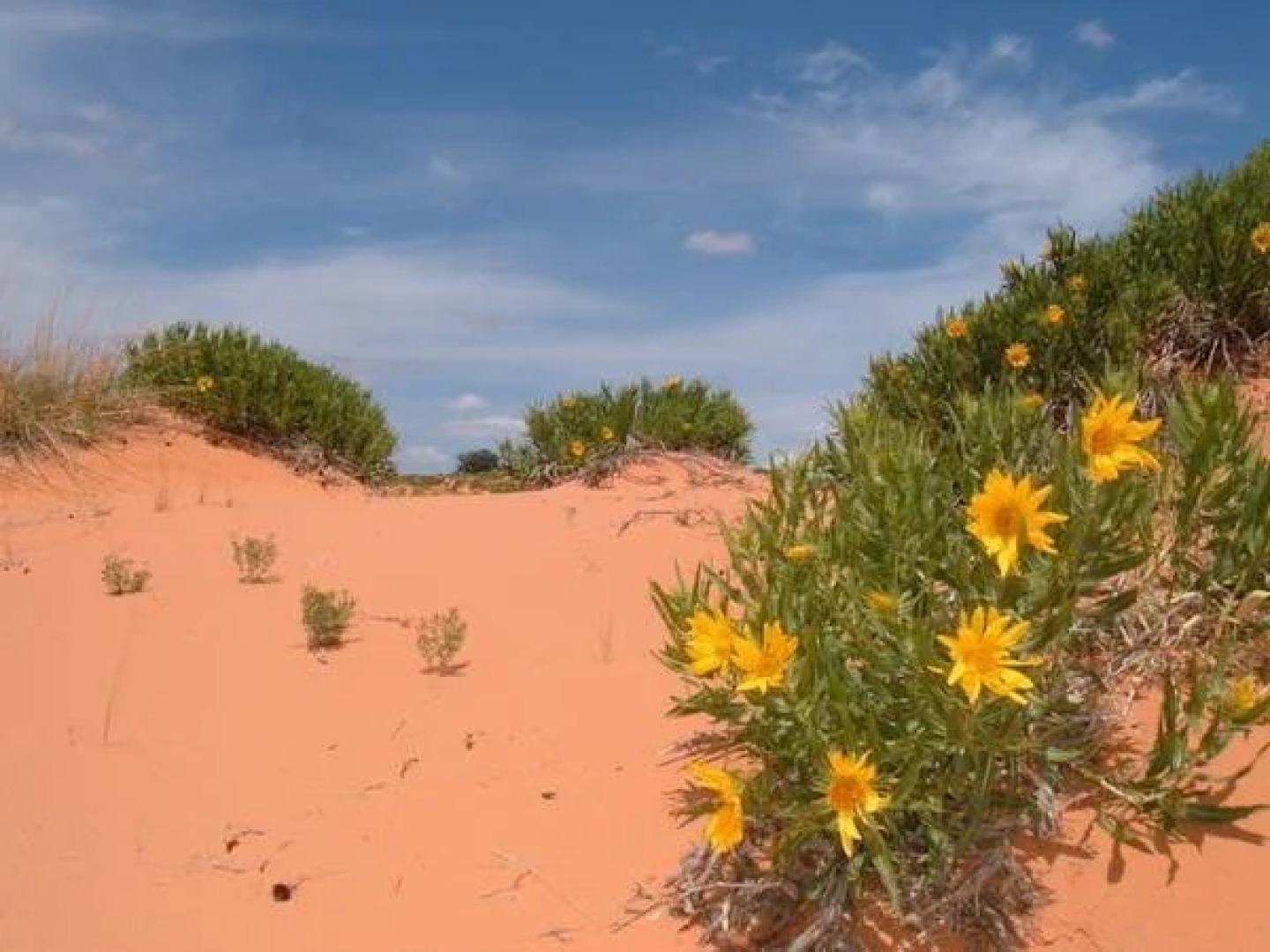 Canyons Lodge, a Canyons Collection Property