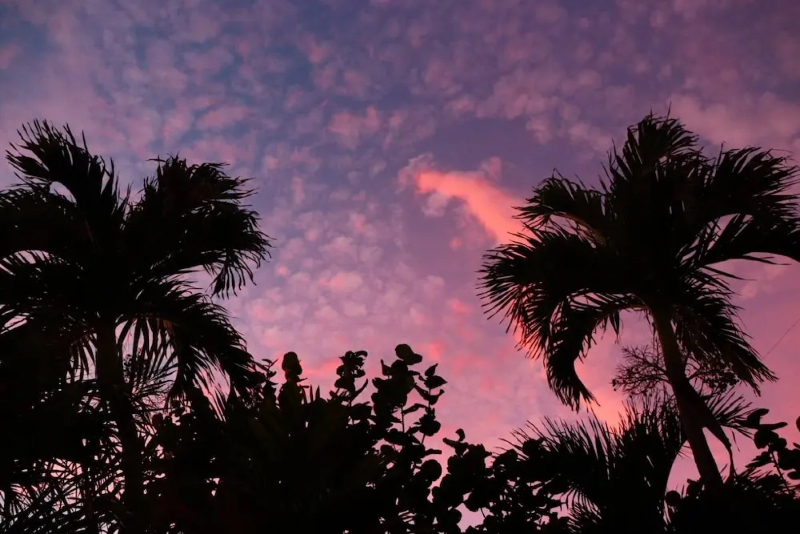 Seas The Day 1 - 2br Beach On Singer Island 2 Bedroom Duplex