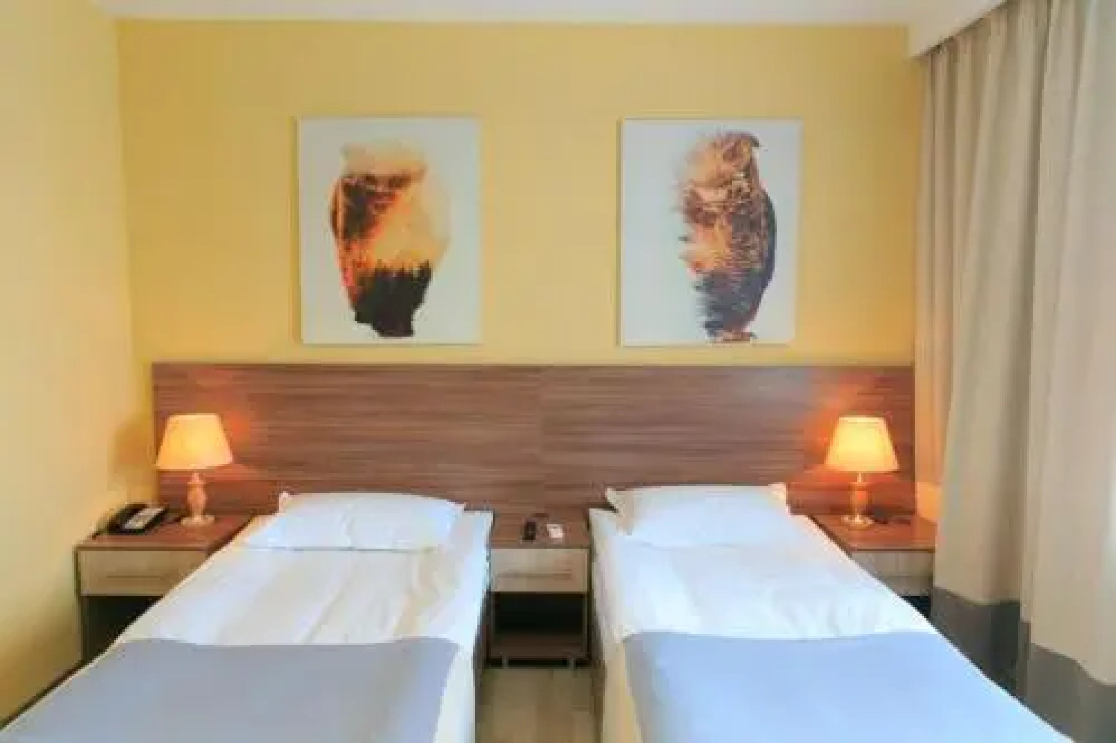 Green Which Tourist Borovoye