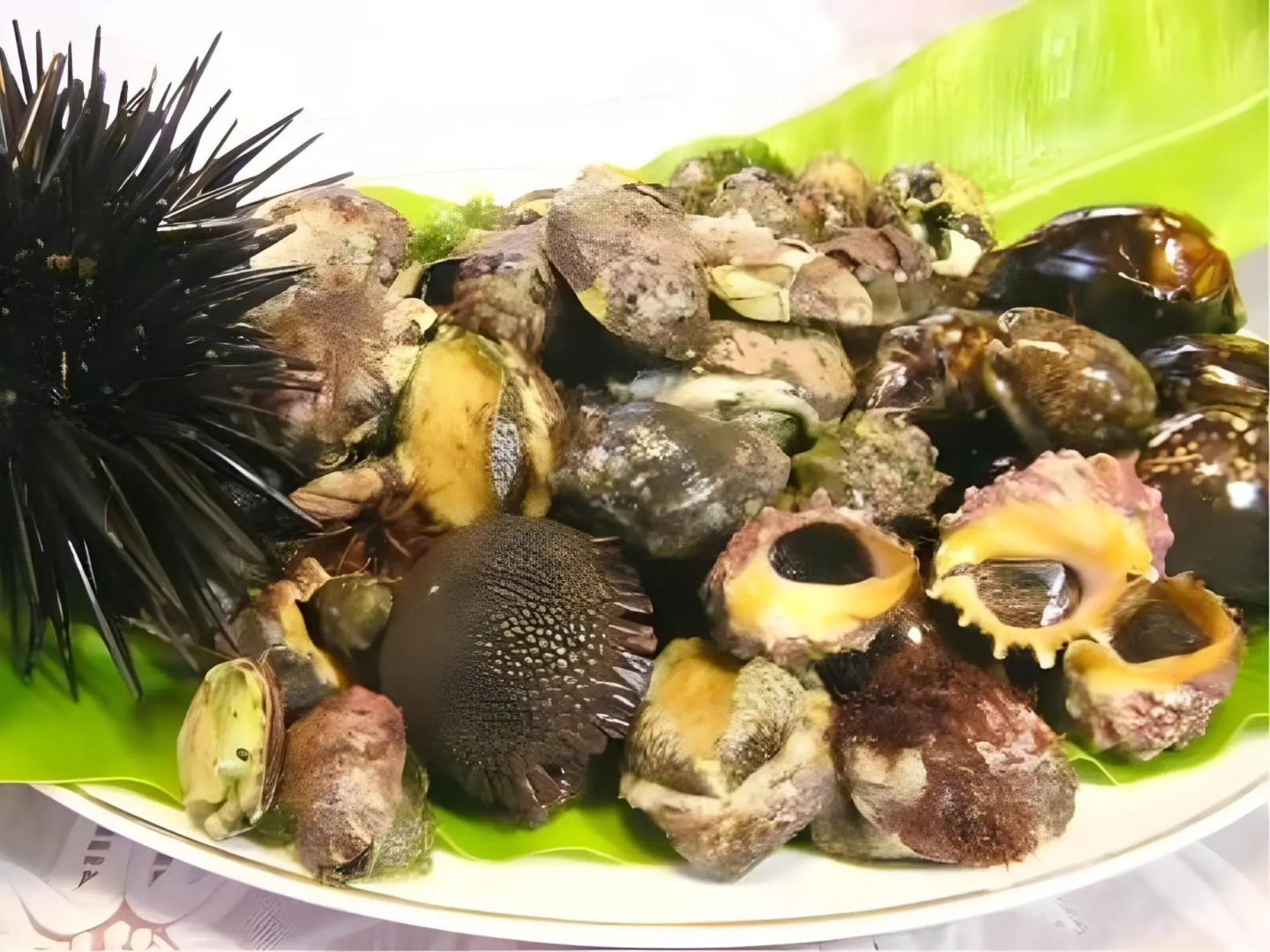 Pension Blue Marlin (Hachijojima)