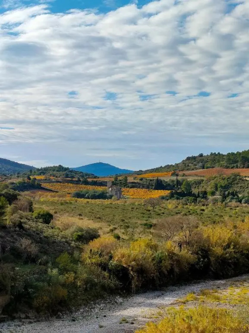 appartement chaleureux et cosy