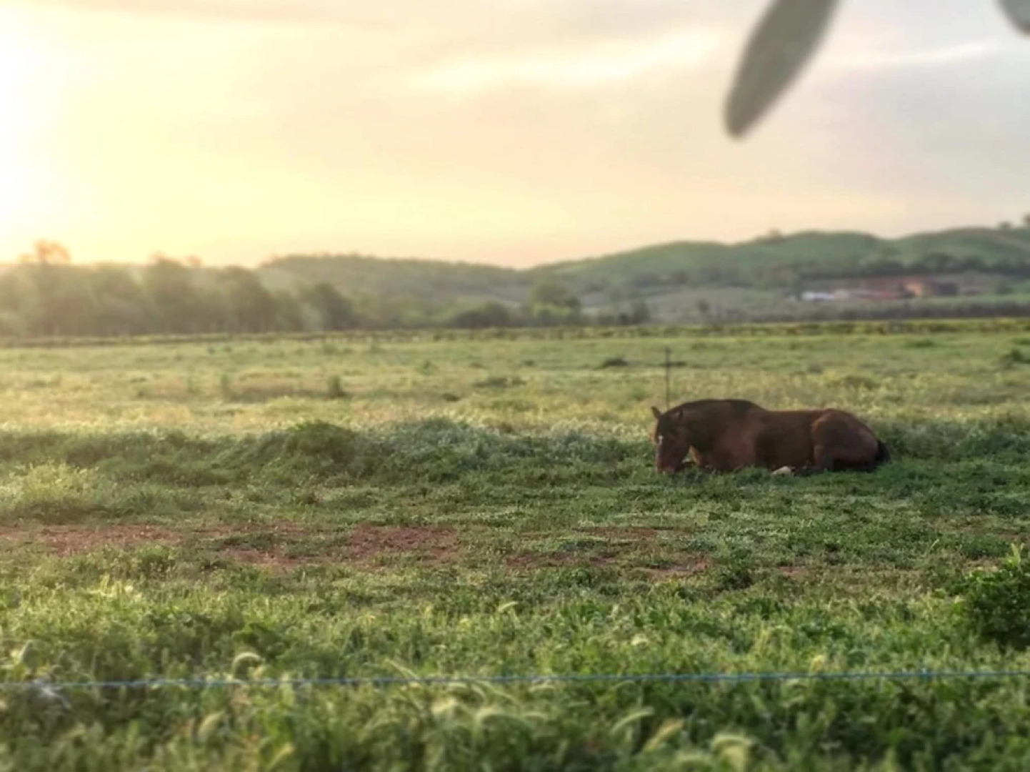 Agriturismo Il Puntoncino