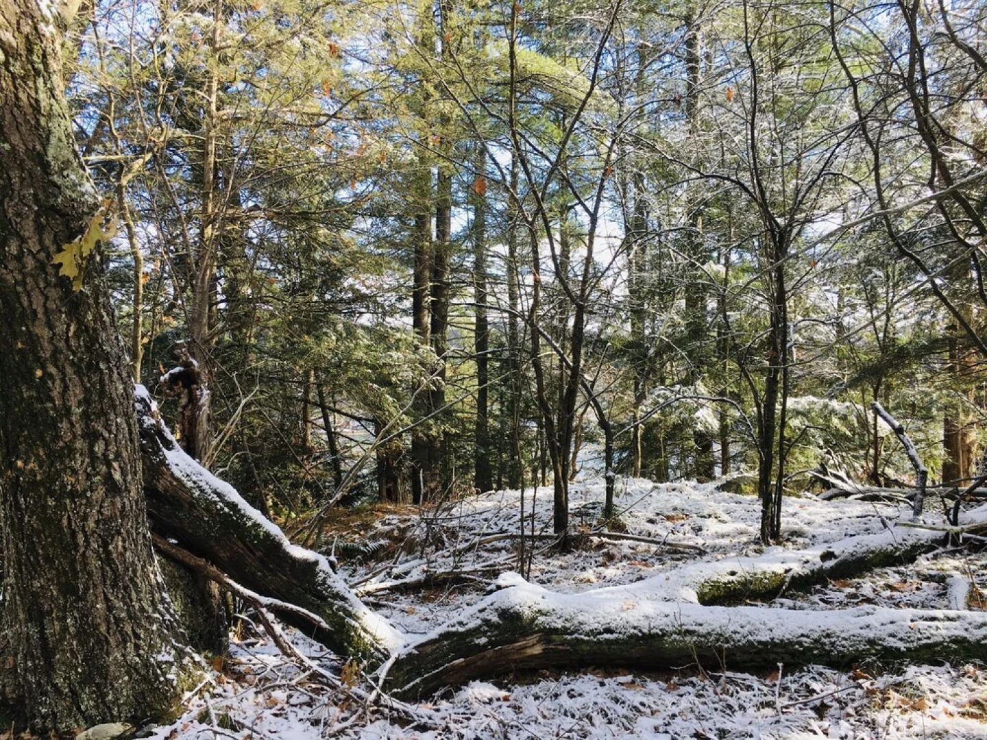 The Inn on Lake Champlain