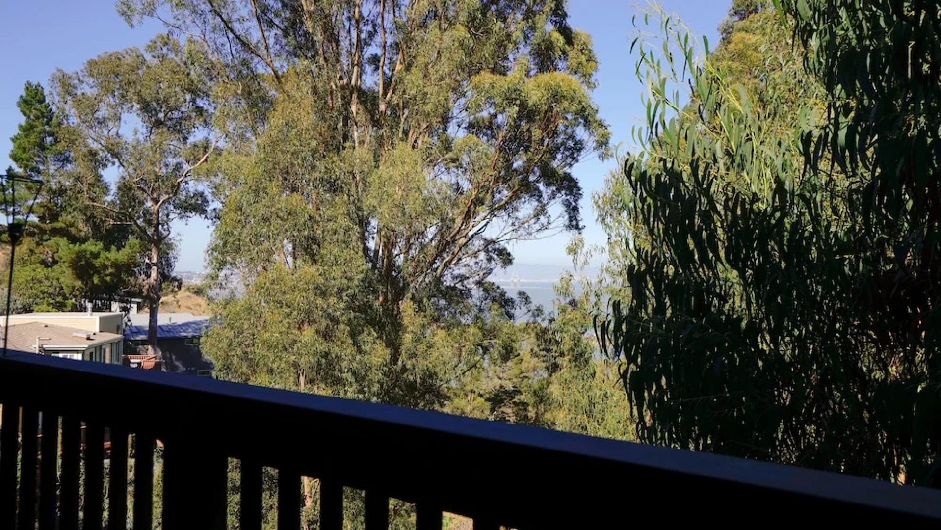 Marbella Lane Eco Friendly Treehouse SFO