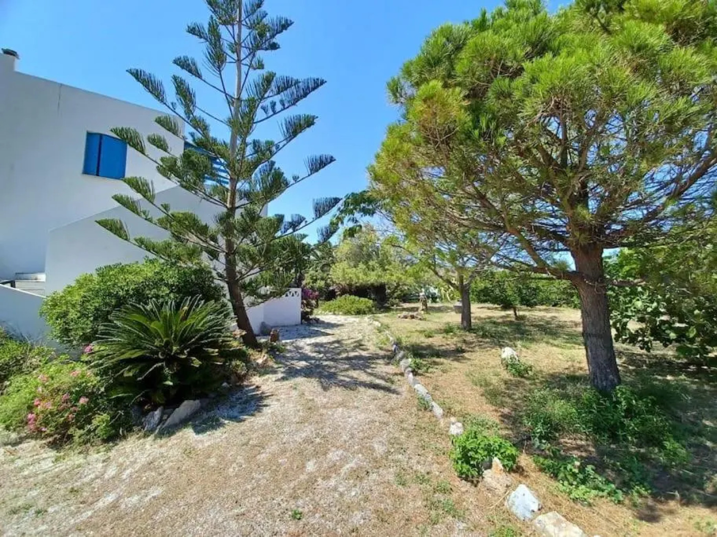 Captain's House
