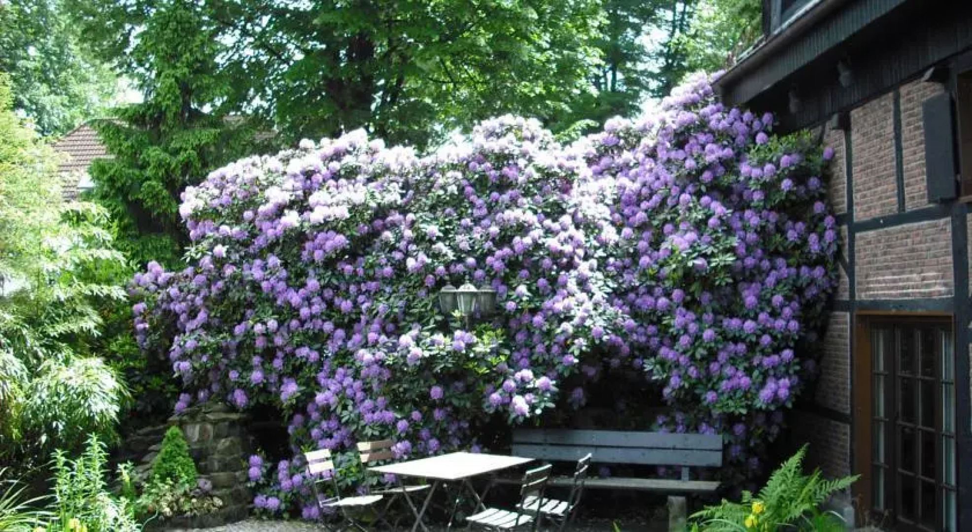 Gästezimmer Gladbeck Haus Tenk