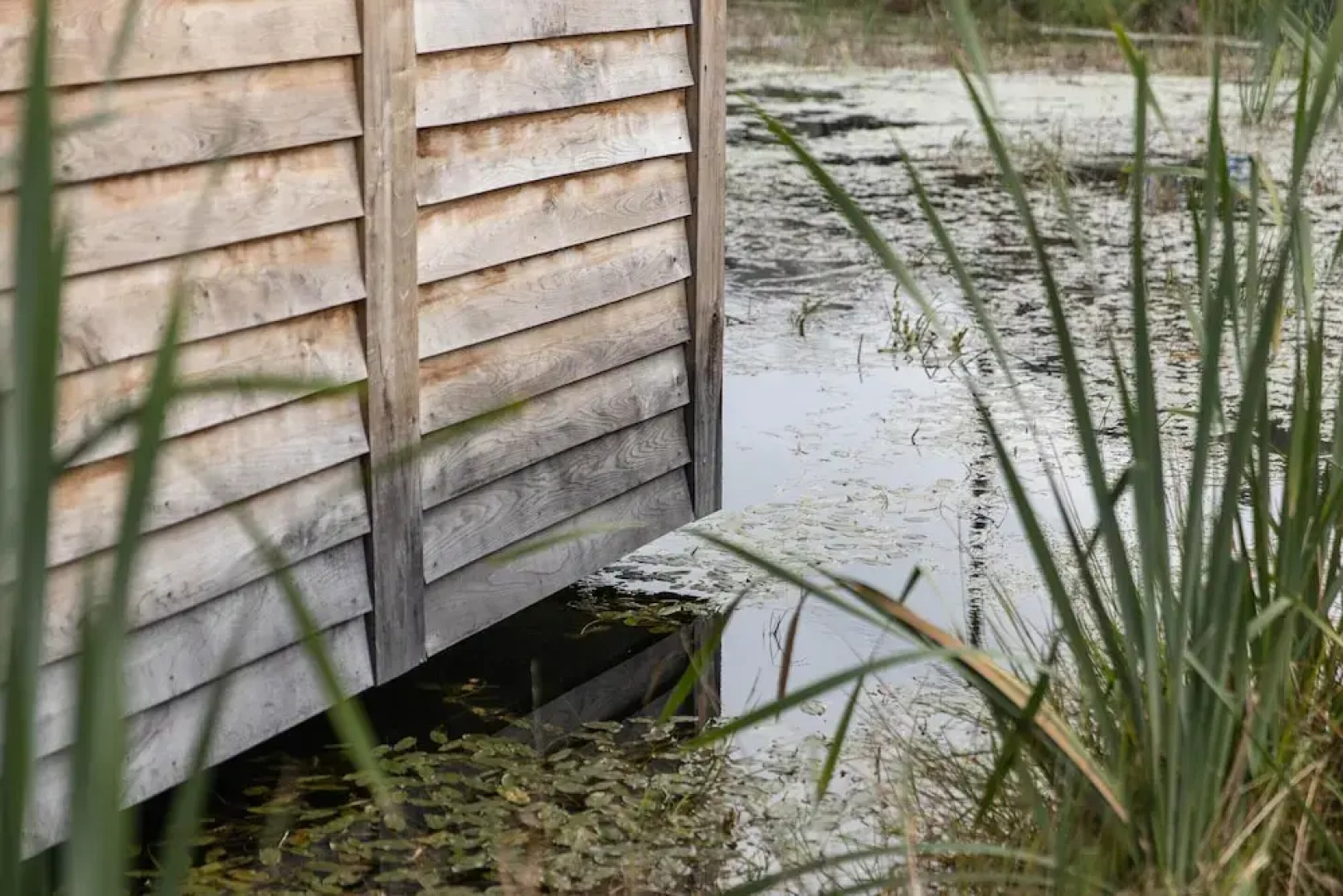 Woodland Cabin in Vencimont