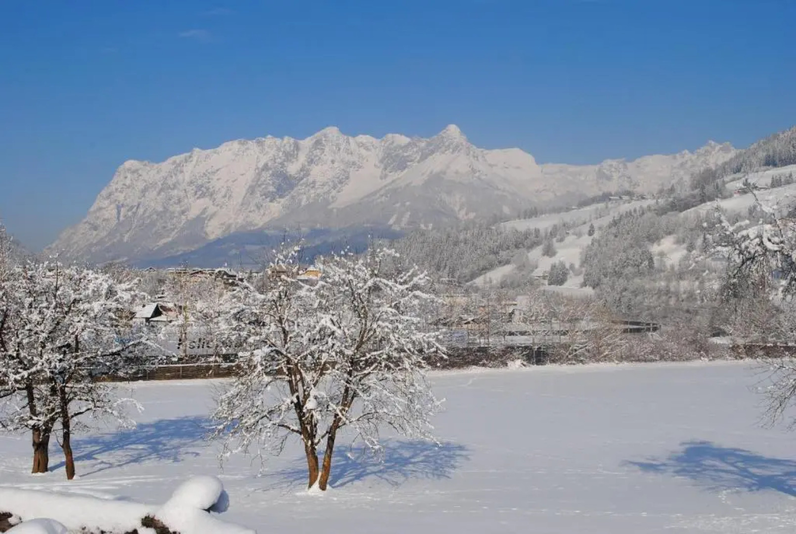 Familien-Bauernhof NEUMOAR