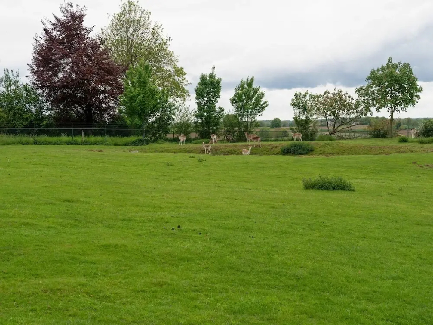 Cozy Voerendaal Getaway for 4