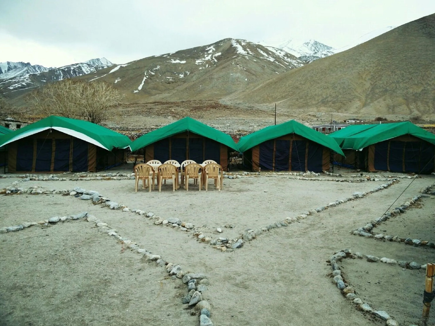 TIH Pangong Delight Camps and Cottages