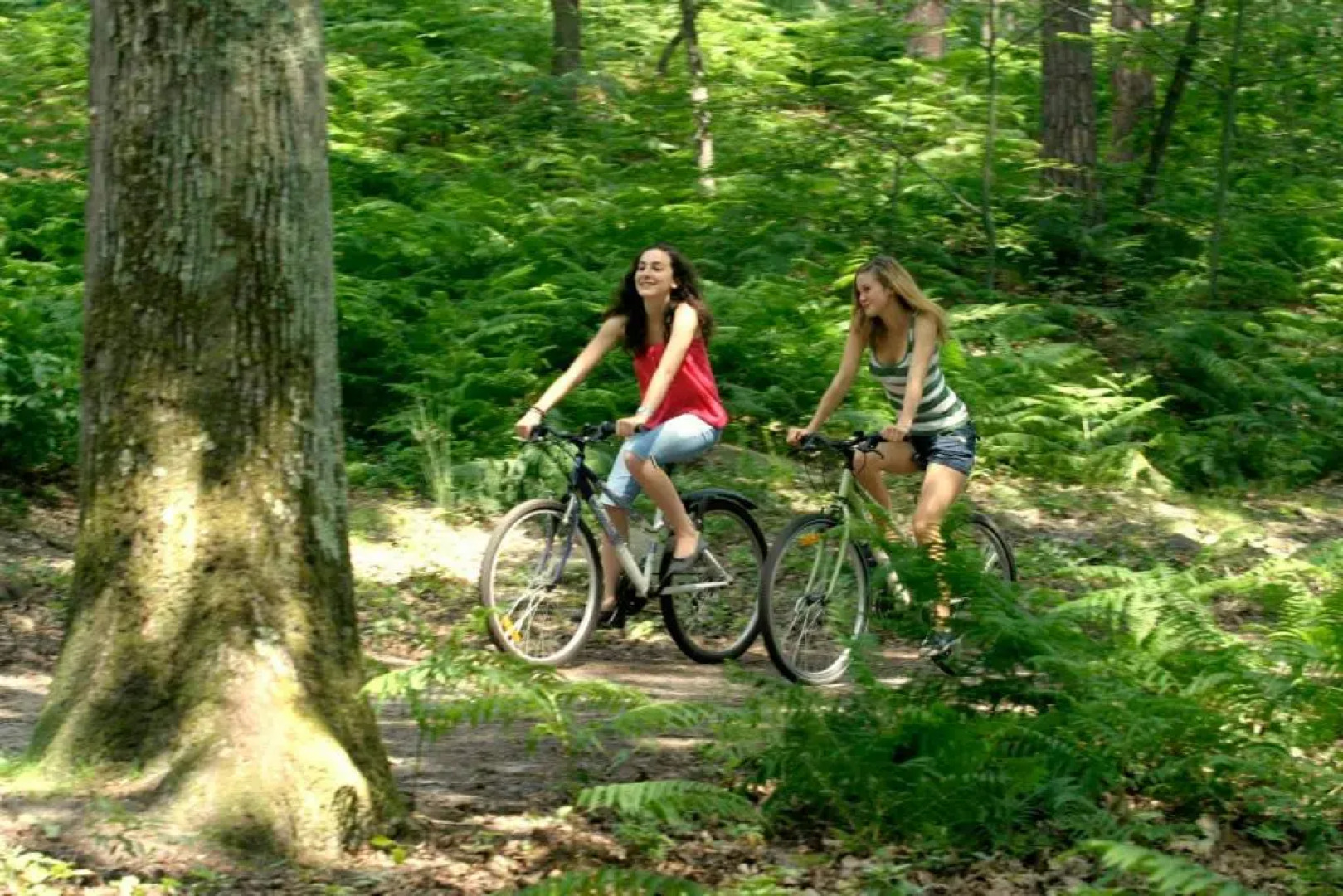FORET DE FONTAINEBLEAU, chambre entrée privée.