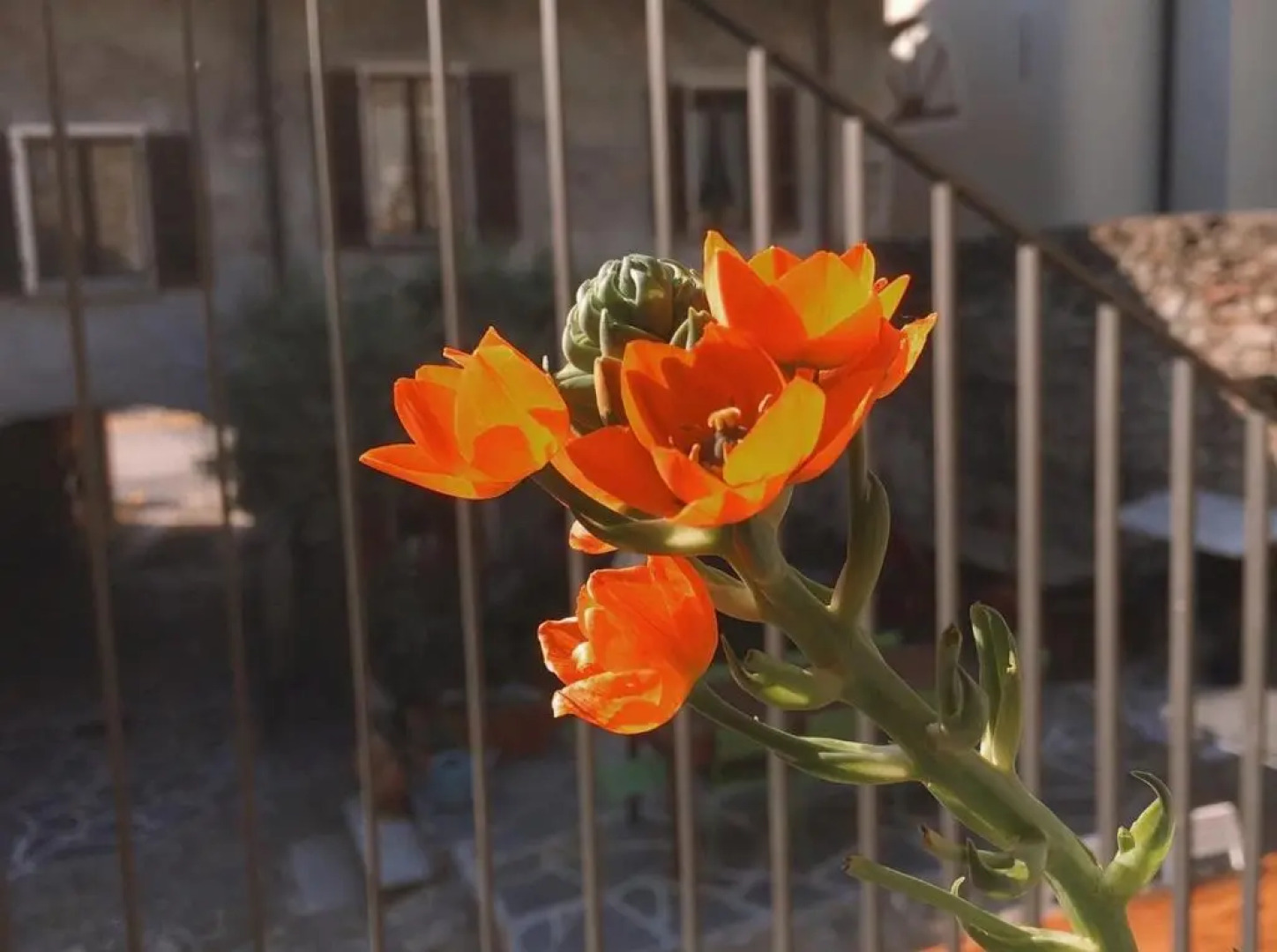 Antica Sosta dei Viandanti