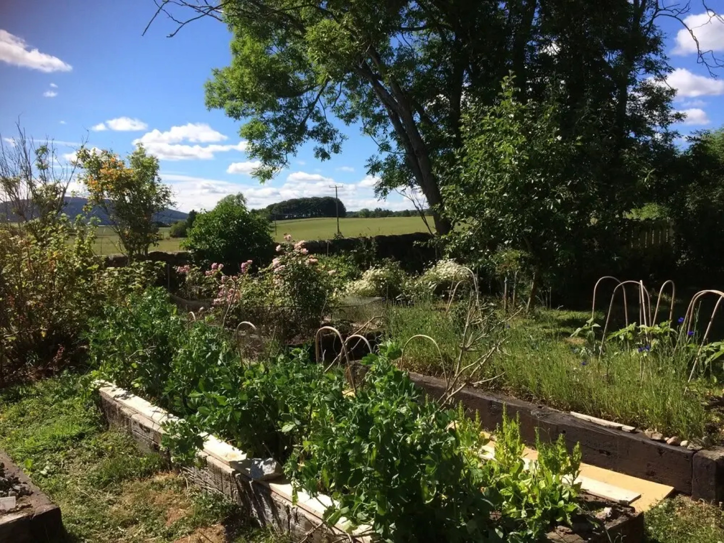 Netherton Farm Lodge