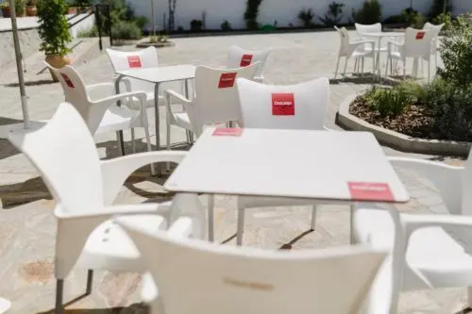 Hotel Entreolivos