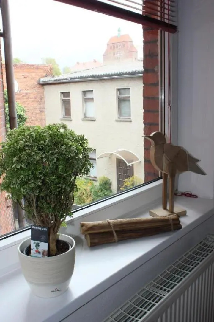 Bilderbuchcafe - Ferien - Apartment NO 3 - Markt 7